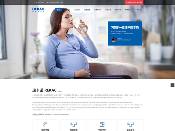 购物商城类网站 — 案例截图